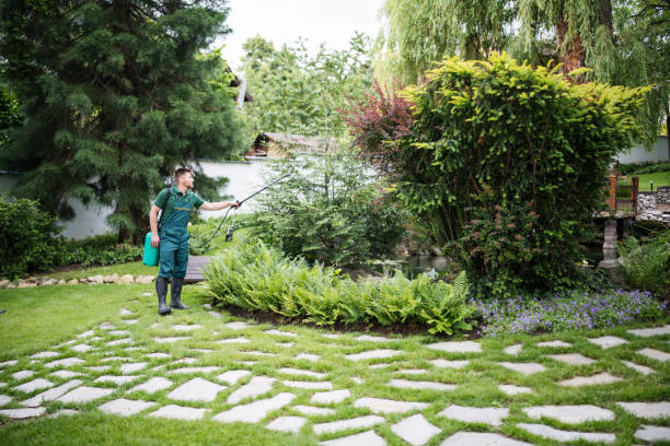 Best Pest Prevention Services  in Mount Repose, OH