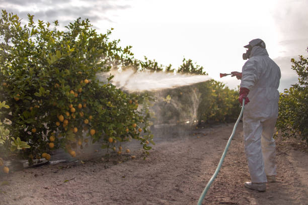 Best Affordable Pest Control Services  in Mount Repose, OH