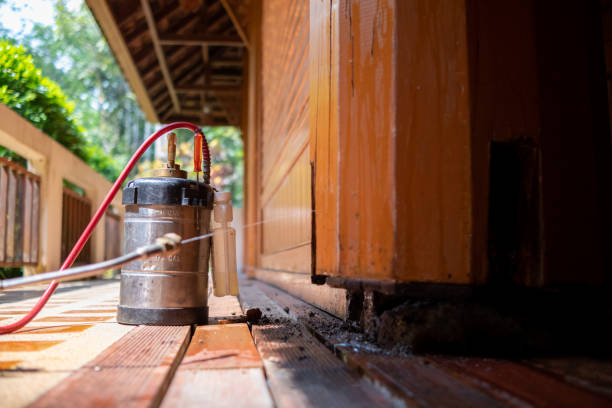 Best Local Pest Control Services  in Mount Repose, OH