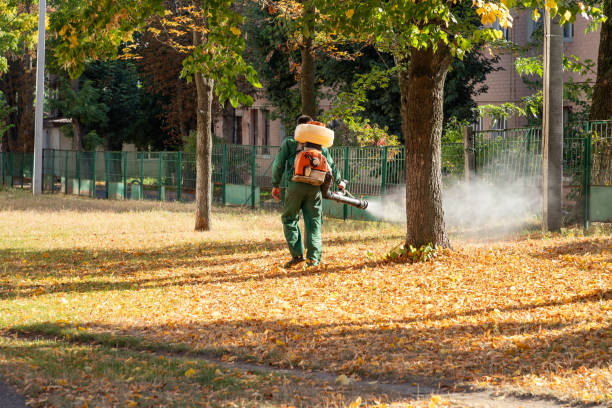 Best Termite Control Services  in Mount Repose, OH