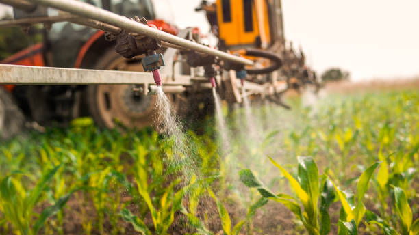 Best Commercial Pest Control Services  in Mount Repose, OH