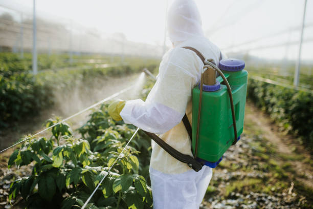 Reliable Mount Repose, OH Pest Control Solutions